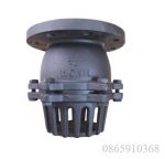 Rọ bơm bằng gang lắp mặt bích